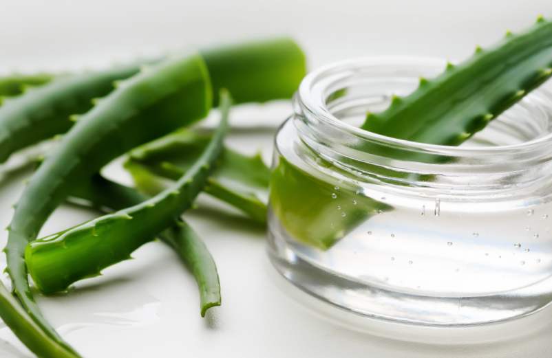 Les bienfaits de l'aloe vera
