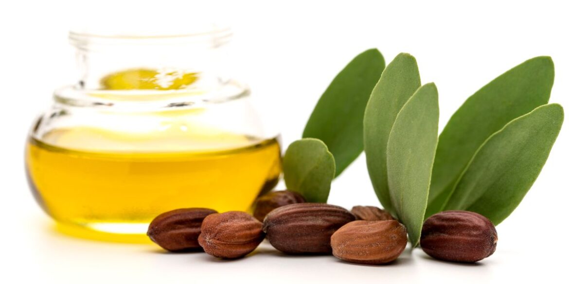 Découvrez les Bienfaits Incroyables de l'Huile de Jojoba pour Votre Peau et Vos Cheveux